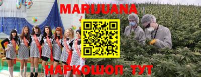 крисы Коммунар